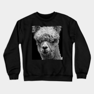 LLAMA Crewneck Sweatshirt